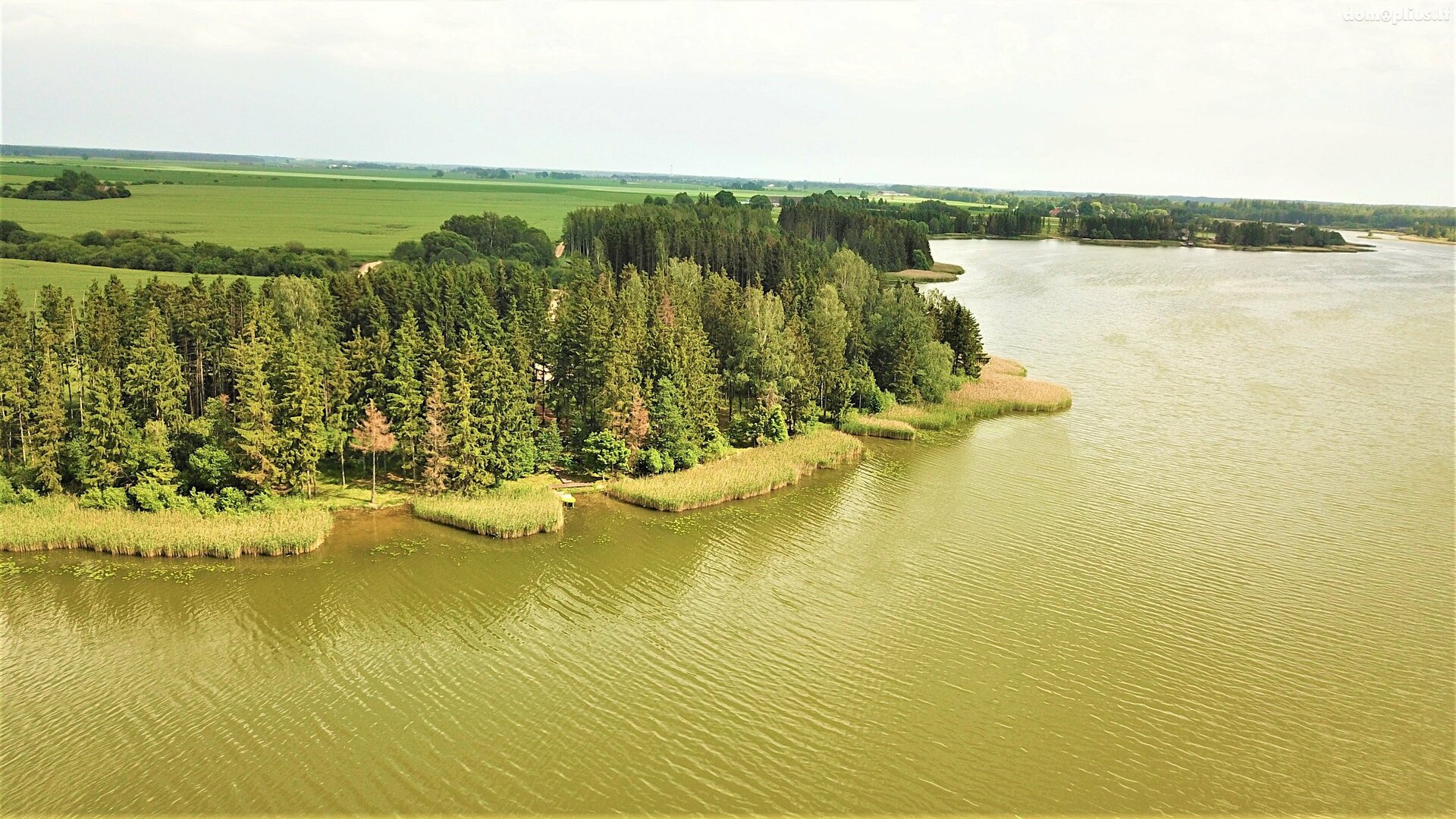 Участок Radviliškio rajono sav., Paežeriuose