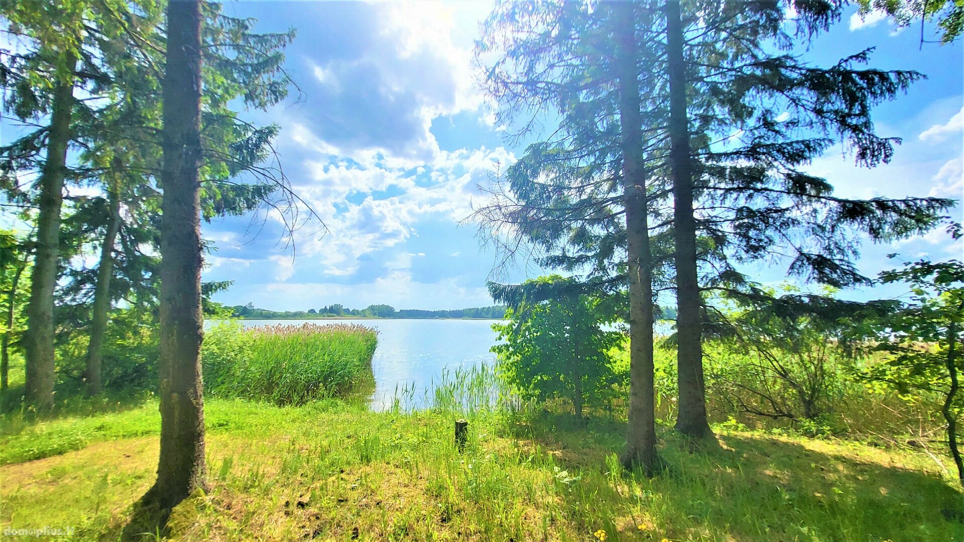 Участок Radviliškio rajono sav., Paežeriuose