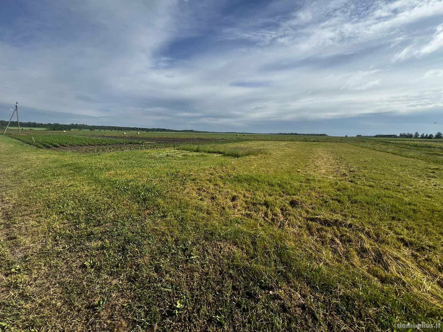 Parduodamas sklypas Šiaulių rajono sav., Briduose, Miesmedžio g.