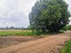 Parduodamas sklypas Druskininkų sav., Neravuose (6 nuotrauka)