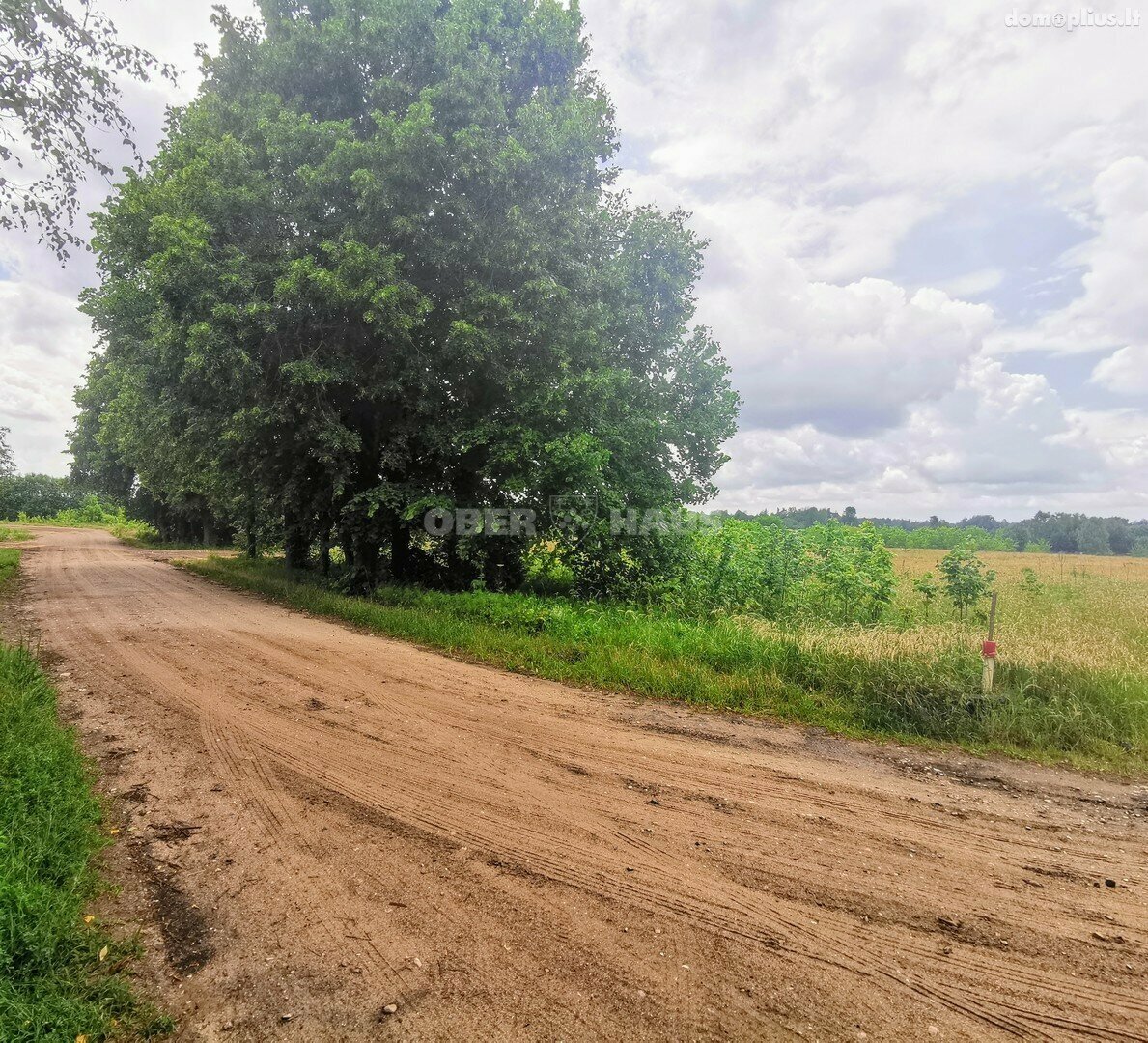 Parduodamas sklypas Druskininkų sav., Neravuose