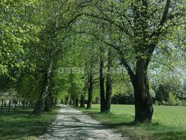 Участок Klaipėdos rajono sav., Kvietiniuose, Minijos g.