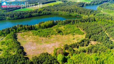 Land for sale Lazdijų rajono sav., Salučiuose