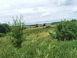 Parduodamas sklypas Alytaus rajono sav., Miklusėnuose, Ūdrijos g.