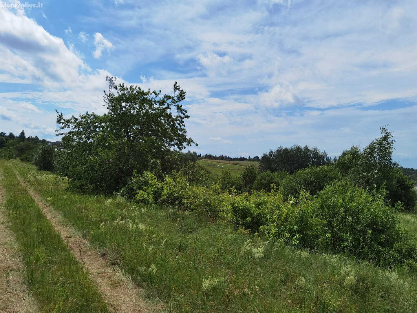 Parduodamas sklypas Alytaus rajono sav., Miklusėnuose, Ūdrijos g.