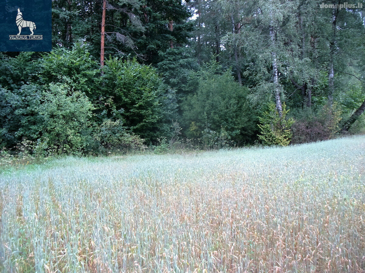 Parduodamas sklypas Vilniaus rajono sav., Gailašiuose