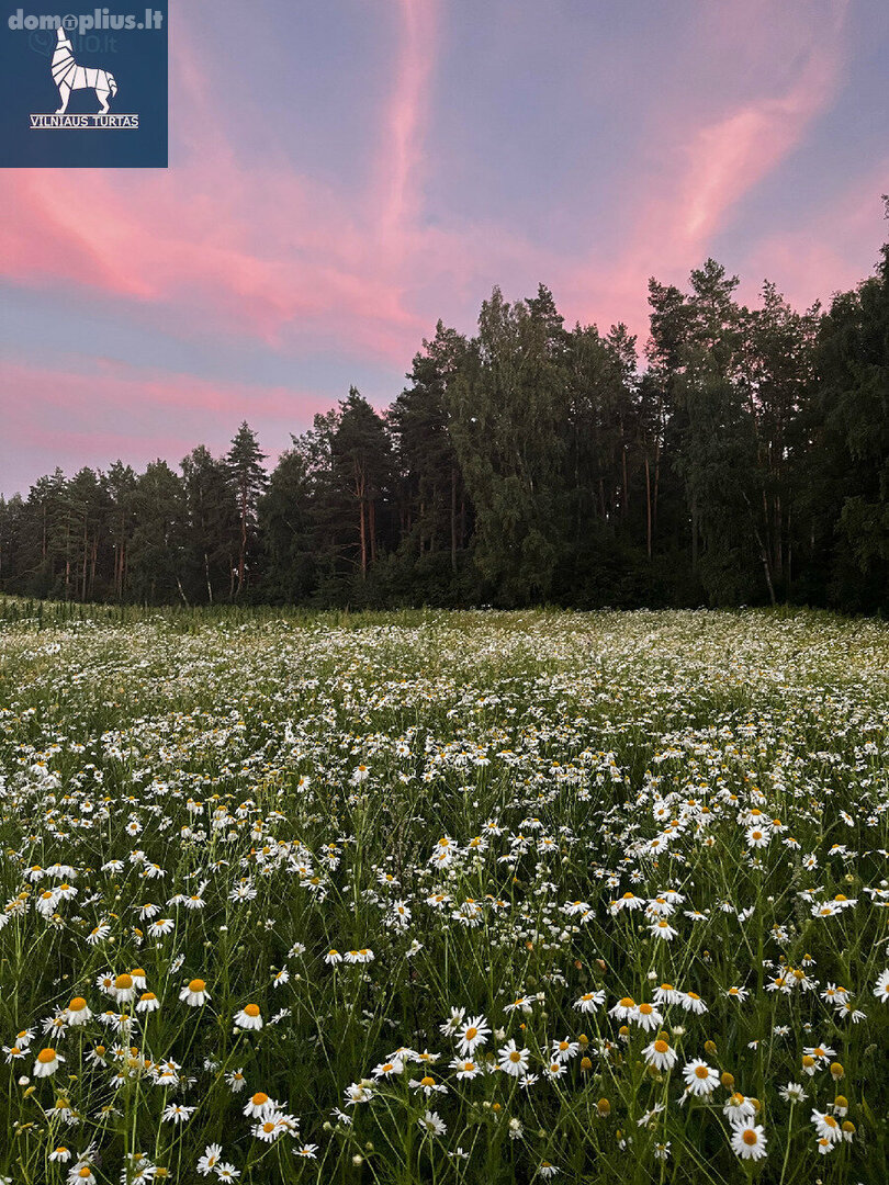 Parduodamas sklypas Vilniaus rajono sav., Gailašiuose