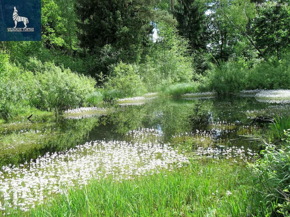 Parduodamas sklypas Vilniaus rajono sav., Gailašiuose