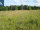Parduodamas sklypas Kalvarijos sav., Liubave (8 nuotrauka)