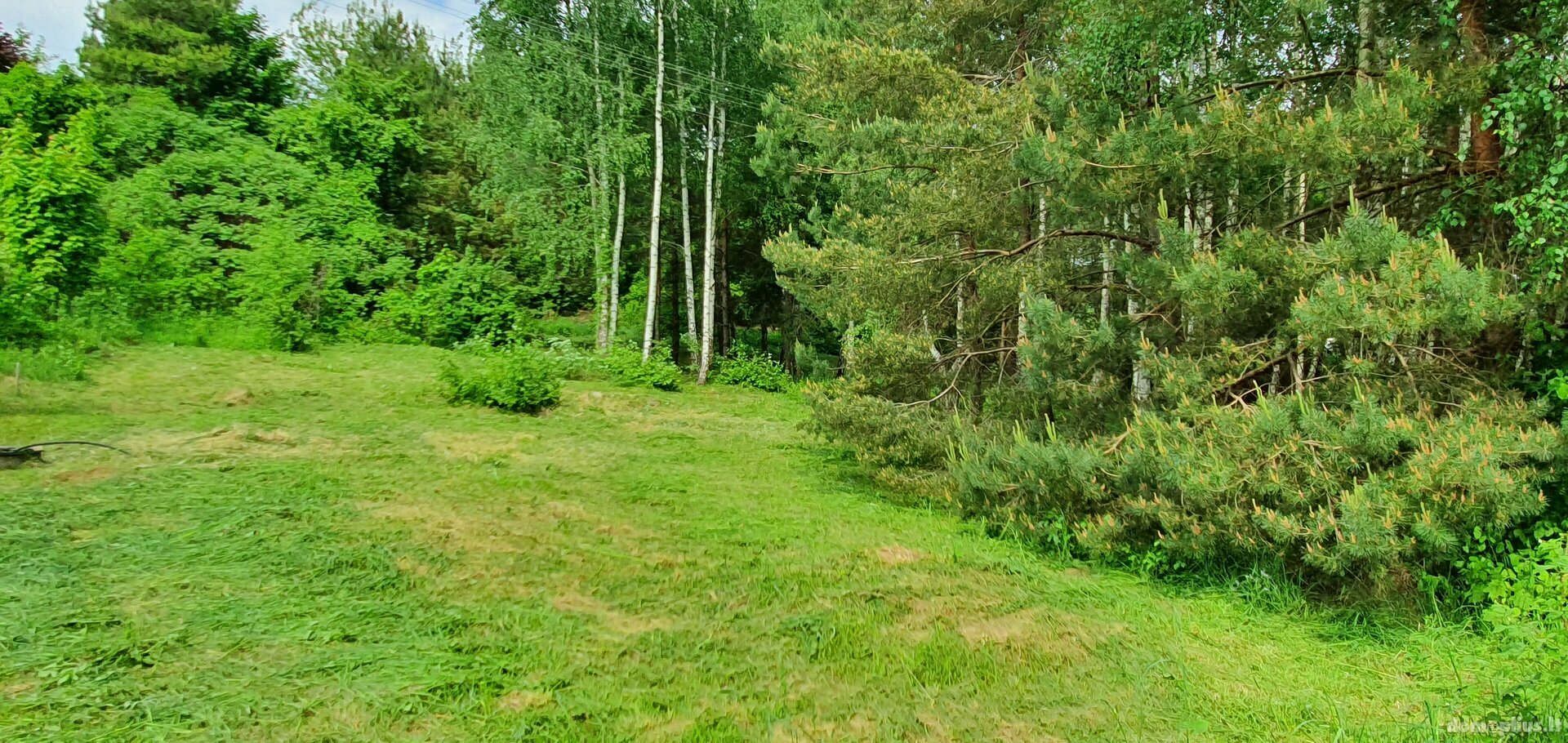 Parduodamas sklypas Alytuje, Likiškiuose, Ramuvos g.