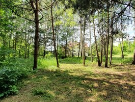 Parduodamas sklypas Alytuje, Likiškiuose, Ramuvos g.