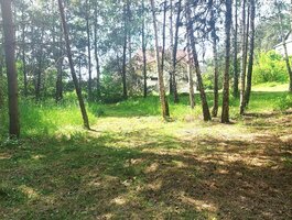 Parduodamas sklypas Alytuje, Likiškiuose, Ramuvos g.