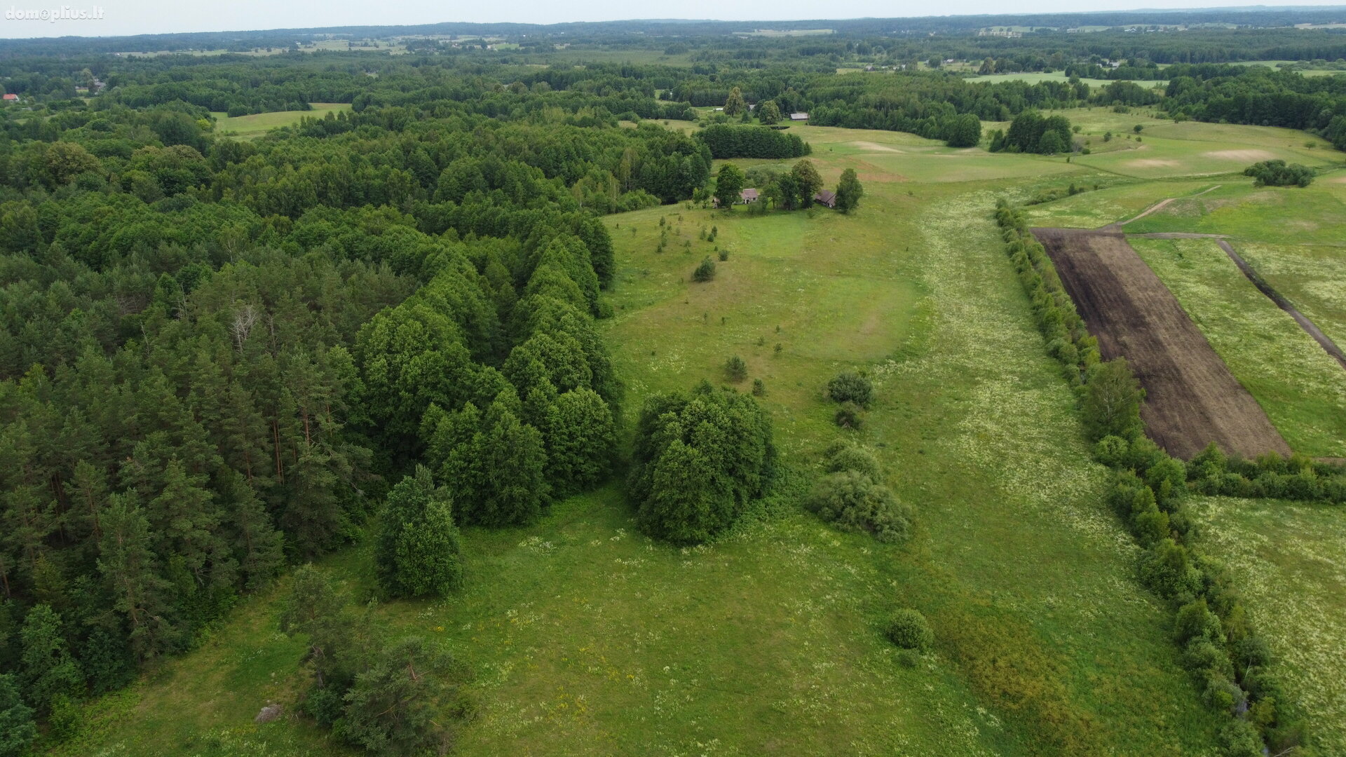Parduodamas sklypas Varėnos rajono sav., Ilgininkuose