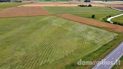 Land for sale Panevėžio rajono sav., Pabaliuose