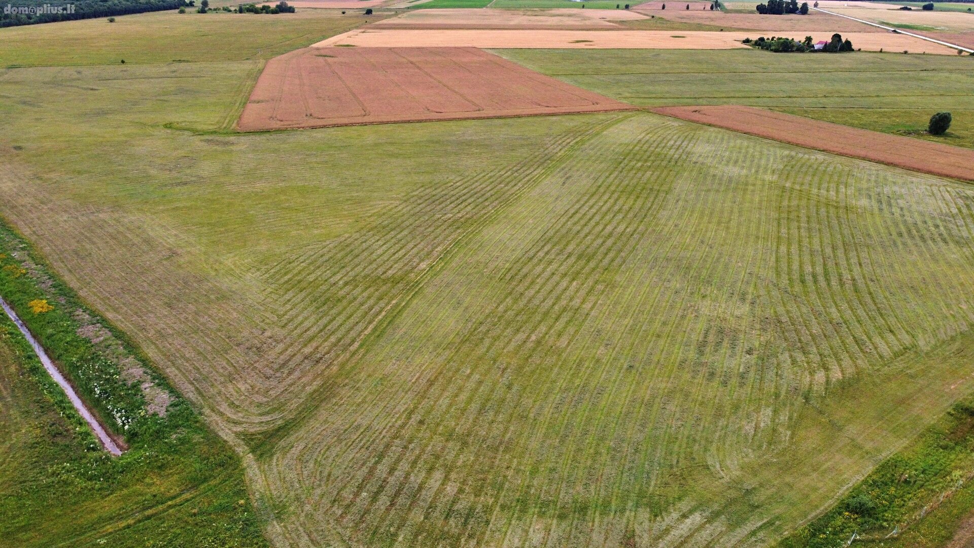 Land for sale Panevėžio rajono sav., Pabaliuose