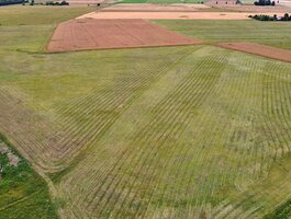 Land for sale Panevėžio rajono sav., Pabaliuose