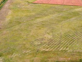 Land for sale Panevėžio rajono sav., Pabaliuose