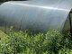 Land for sale Klaipėdos rajono sav., Šiūpariuose, Rožių g. (4 picture)