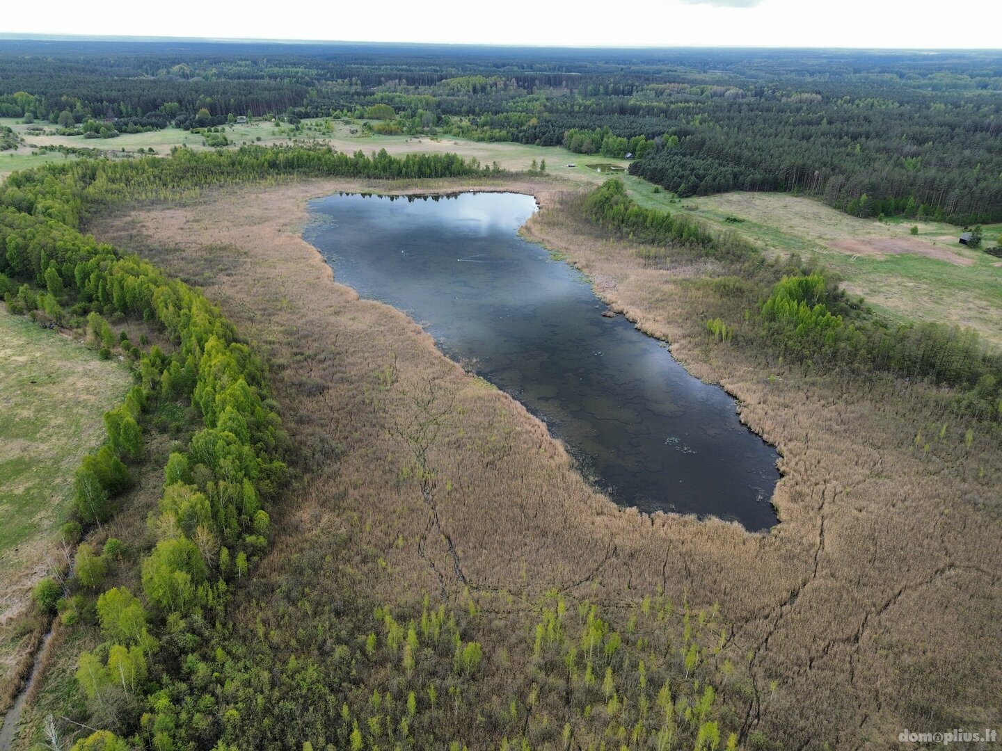 Parduodamas sklypas Druskininkų sav., Vilkanastruose, Azagio g.
