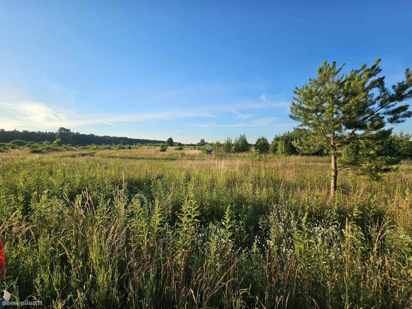 Parduodamas sklypas Klaipėdos rajono sav., Ketvergiuose