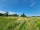Parduodamas sklypas Klaipėdos rajono sav., Radailiuose, Liepgirių g. (3 nuotrauka)