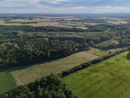 Parduodamas sklypas Klaipėdos rajono sav., Radailiuose