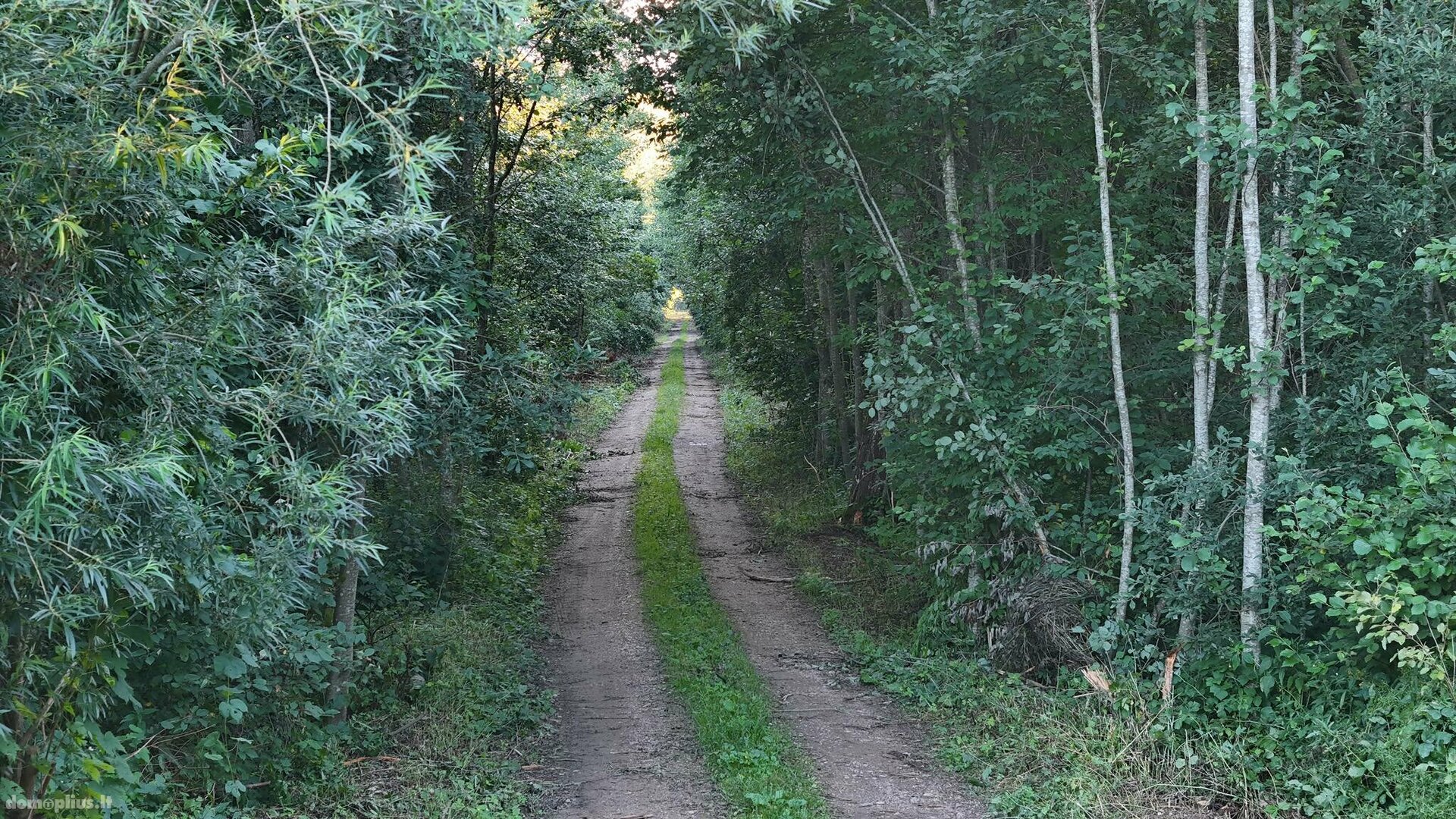 Parduodamas sklypas Klaipėdos rajono sav., Radailiuose