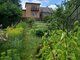 Land for sale Klaipėdos rajono sav., Gargžduose (4 picture)