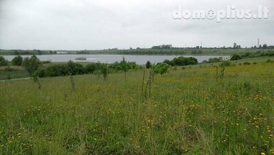 Parduodamas sklypas Alytaus rajono sav., Butrimiškėse