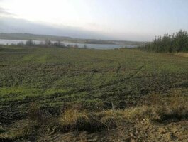 Участок Alytaus rajono sav., Butrimiškėse
