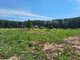 Parduodamas sklypas Širvintų rajono sav., Dailidžionyse, Ąžuolų g. (14 nuotrauka)