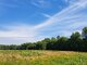 Parduodamas sklypas Širvintų rajono sav., Dailidžionyse, Ąžuolų g. (6 nuotrauka)