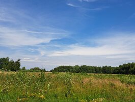 Parduodamas sklypas Širvintų rajono sav., Dailidžionyse, Ąžuolų g.