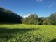 Участок Kauno rajono sav., Partikuose (3 Фотография)