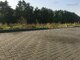 Parduodamas sklypas Kaune, Romainiuose, Tolivardžių g. (10 nuotrauka)