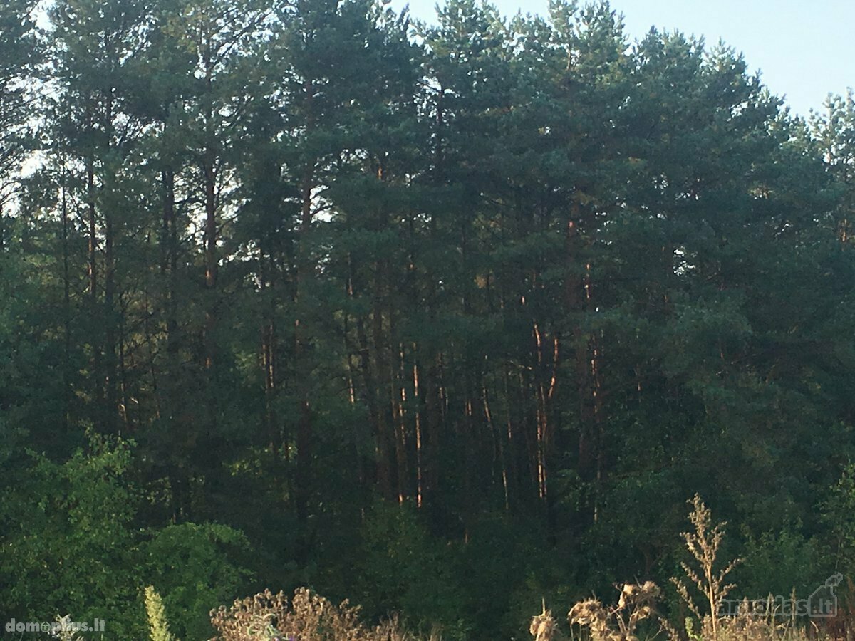 Parduodamas sklypas Kaune, Romainiuose, Tolivardžių g.