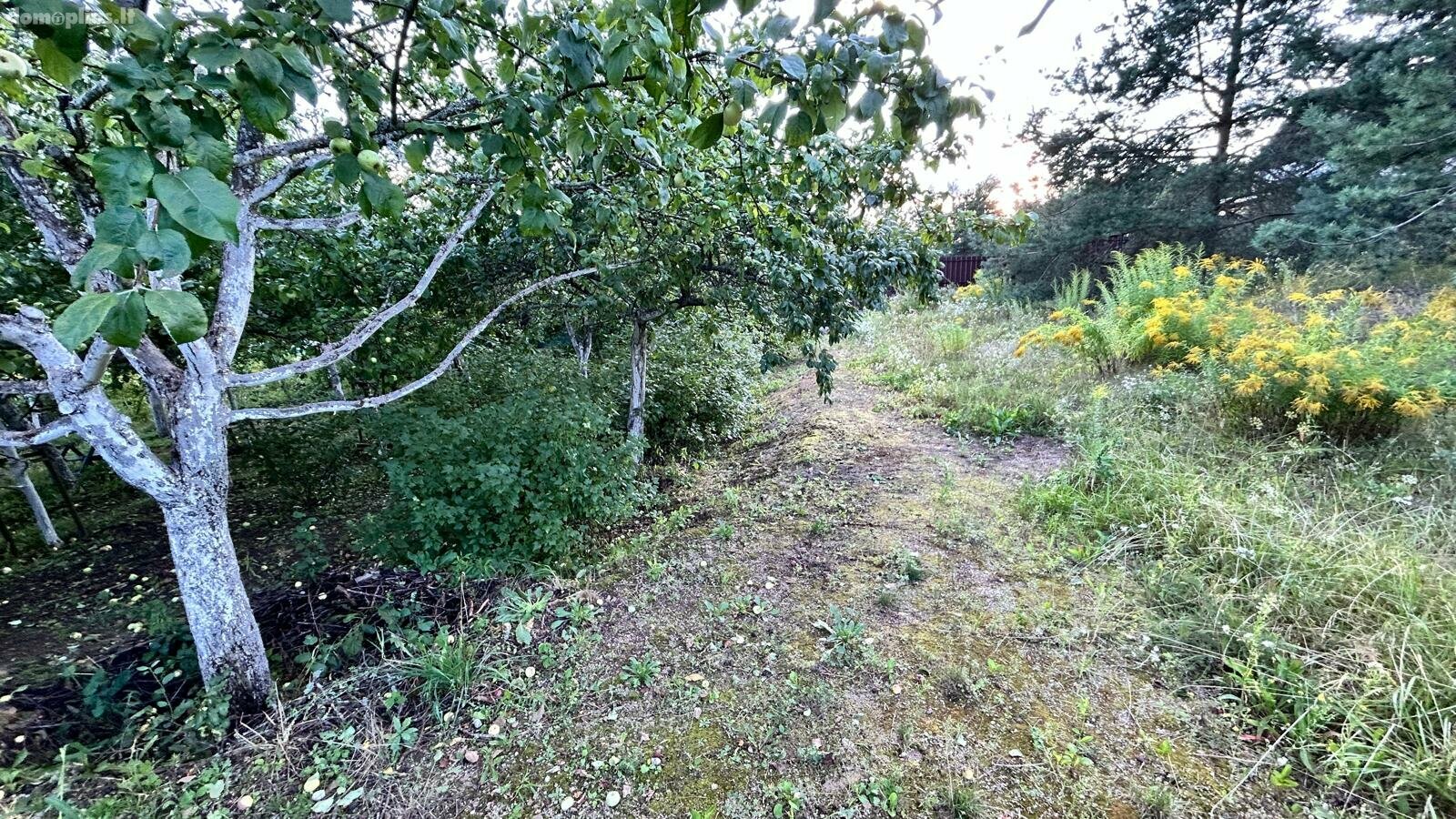 Parduodamas sklypas Vilniaus rajono sav., Migūnuose, Rimties 3-ioji g.