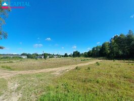 Sklypas Druskininkų sav., Lipliūnuose