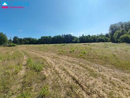 Parduodamas sklypas Druskininkų sav., Lipliūnuose