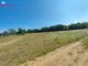 Land for sale Druskininkų sav., Lipliūnuose (4 picture)