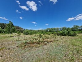 Sklypas Druskininkų sav., Gailiūnuose, Gailiūnų g.