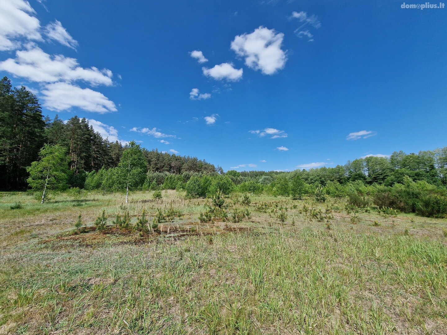 Parduodamas sklypas Druskininkų sav., Gailiūnuose, Gailiūnų g.