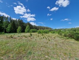 Parduodamas sklypas Druskininkų sav., Gailiūnuose, Gailiūnų g.