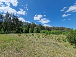 Parduodamas sklypas Druskininkų sav., Gailiūnuose, Gailiūnų g.
