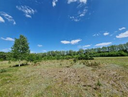 Parduodamas sklypas Druskininkų sav., Gailiūnuose, Gailiūnų g.
