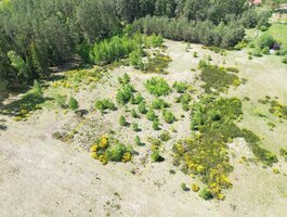 Parduodamas sklypas Druskininkų sav., Gailiūnuose, Gailiūnų g.