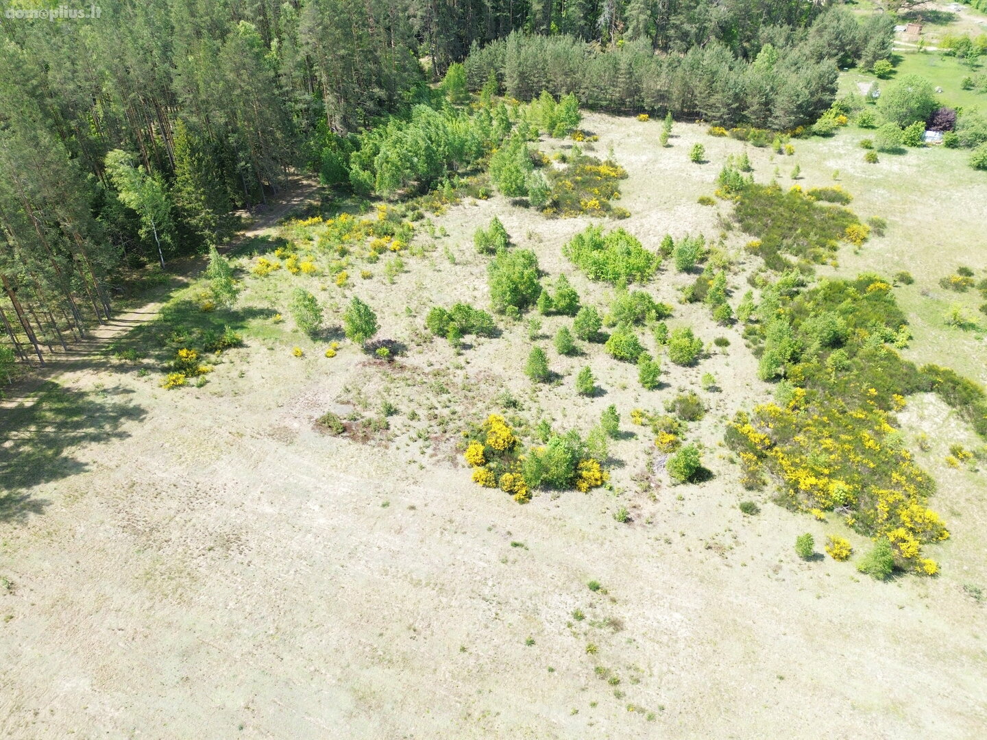 Parduodamas sklypas Druskininkų sav., Gailiūnuose, Gailiūnų g.
