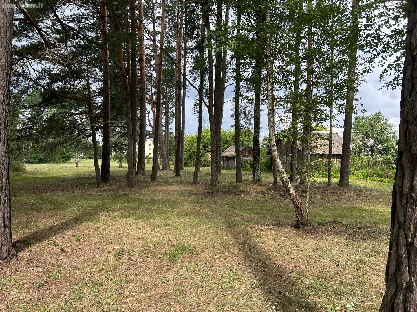 Parduodamas sklypas Druskininkų sav., Viečiūnuose, Marcių g.