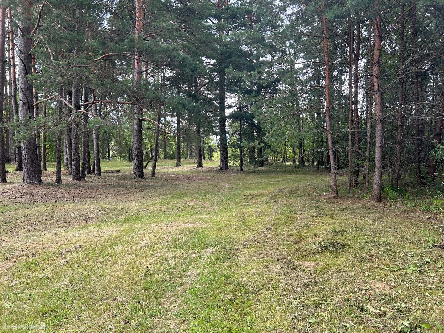 Parduodamas sklypas Druskininkų sav., Viečiūnuose, Marcių g.