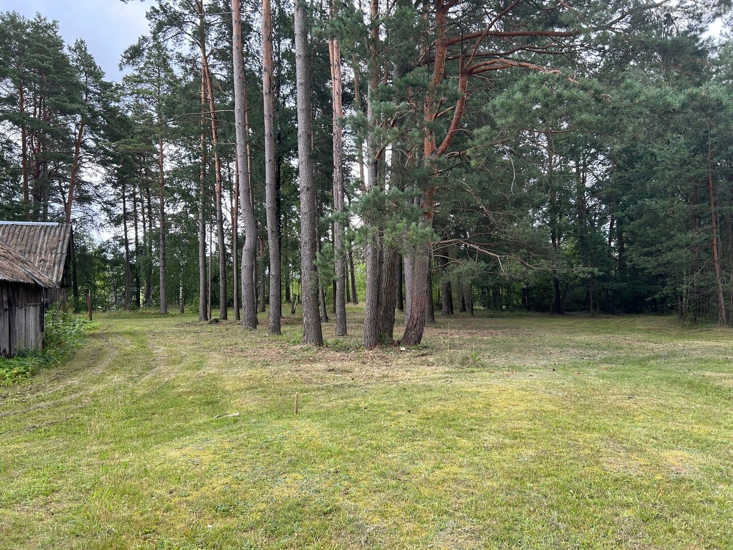 Parduodamas sklypas Druskininkų sav., Viečiūnuose, Marcių g.